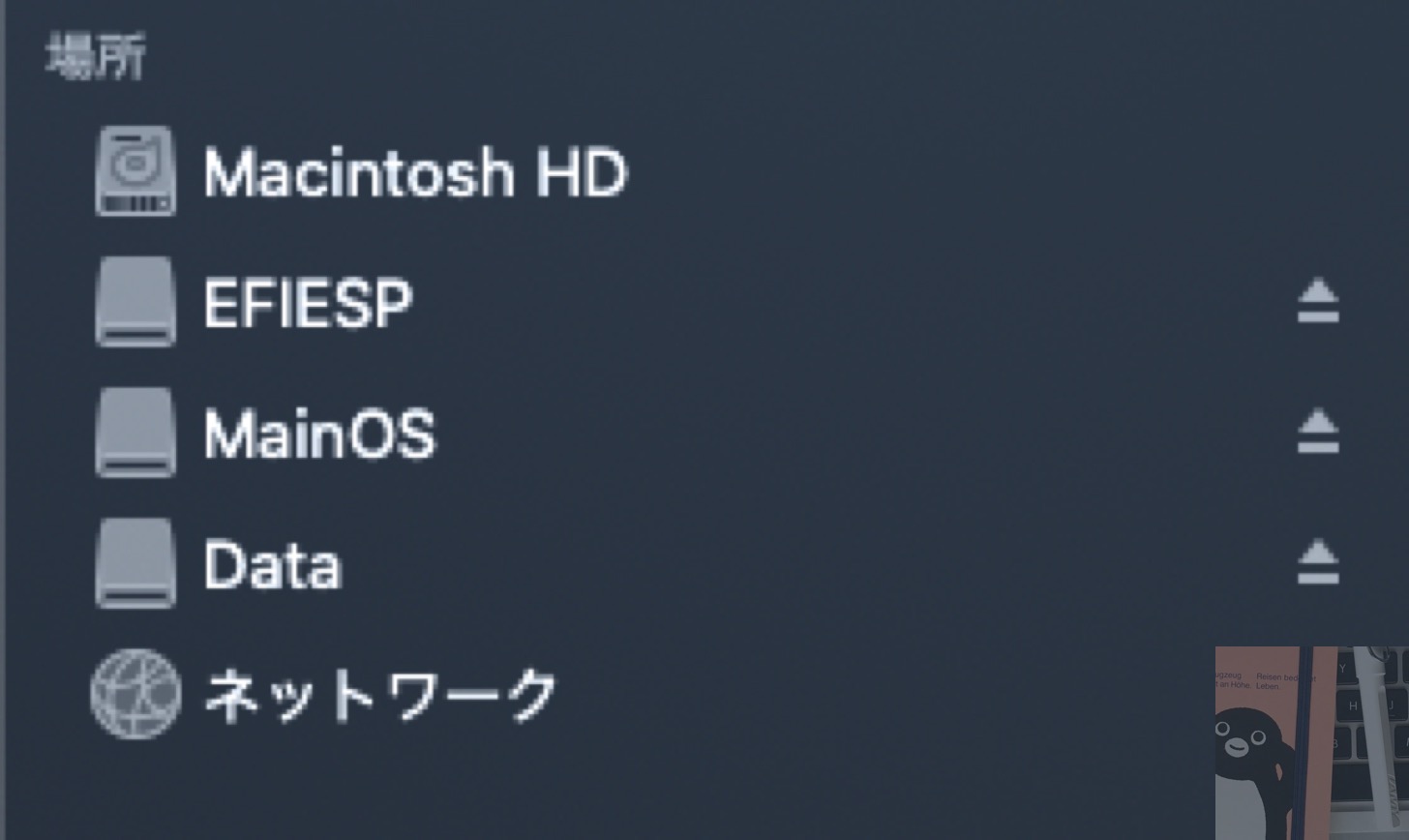Windows 10 IoT Coreの名残り。
