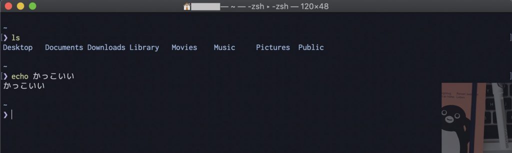 Preztoのインストール