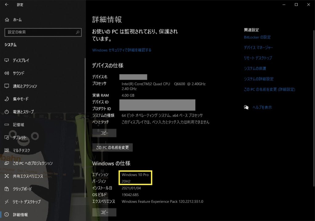 Windows 10 Pro (20H2) 詳細情報